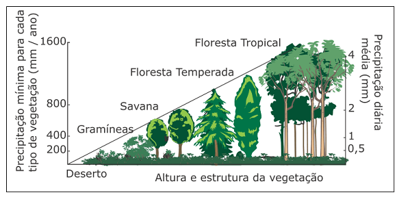 as ilustrações a seguir representam diferentes tipos de vegetação